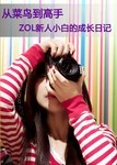 从菜鸟到高手 ZOL新人小白的成长日记