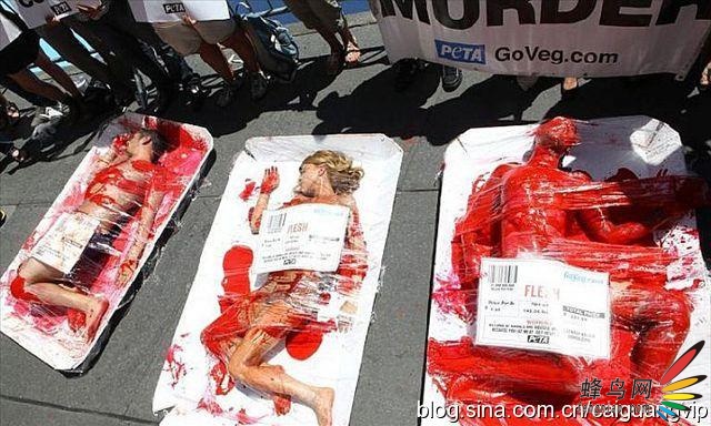 新闻中心 行摄频道 境外目的地 纽约街头上演"卖人肉" > 详图 参考价