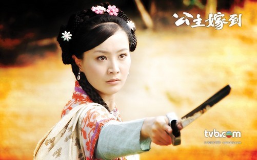 电视连续剧《公主嫁到》海报