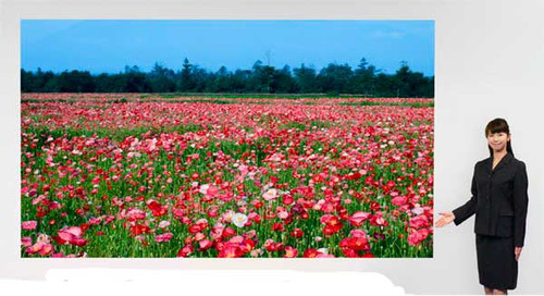 ��ӰԺ��ؼ� �齨�����ͥӰԺȫ���� 