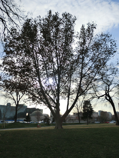 ����Ƿ�֮�� ����ŷZR10��ɫ������� 