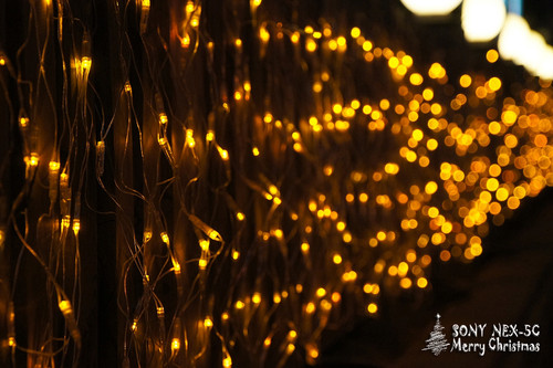 ���������ʥ���� ����NEX5���������� 