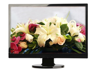 SHARP/NEC  VE2201XG