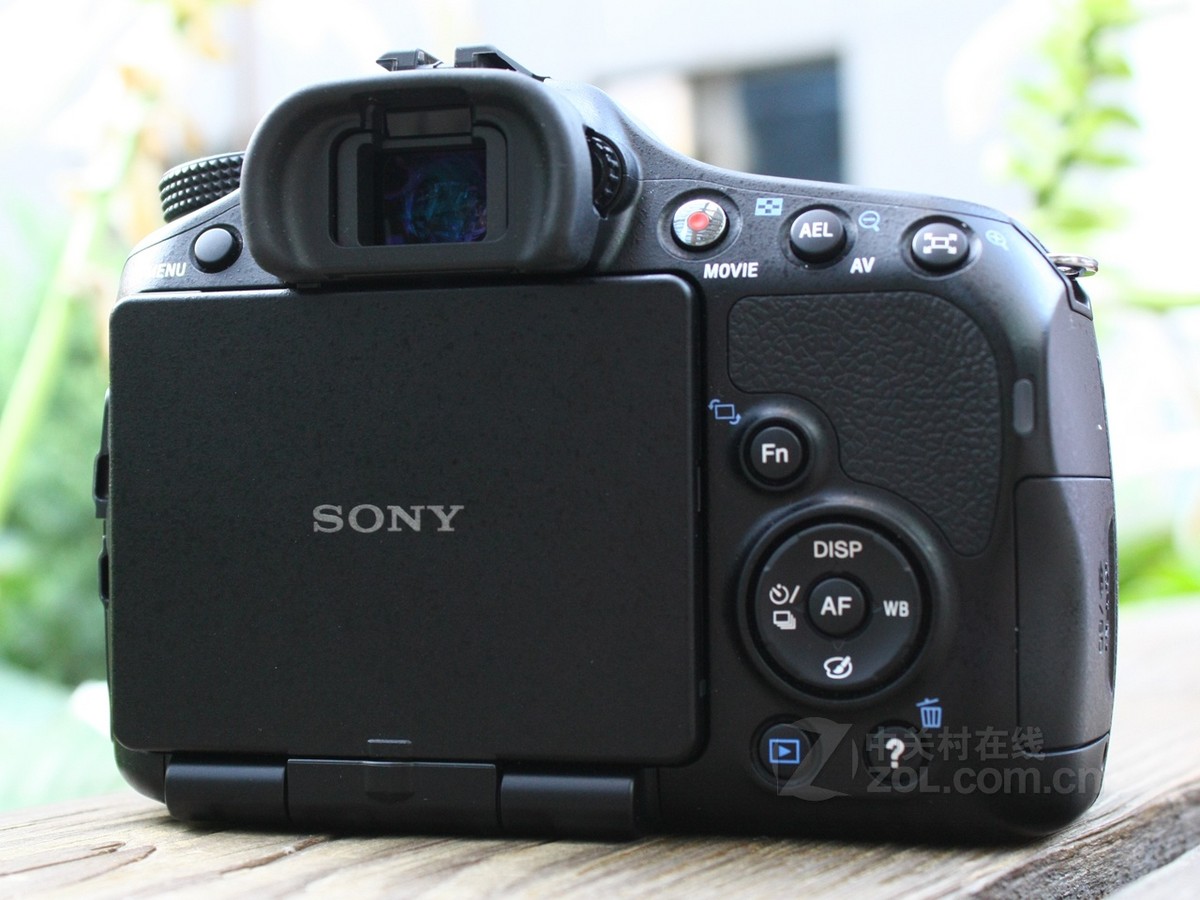 【高清图】 索尼(sony)a65(单机)实拍图 图147