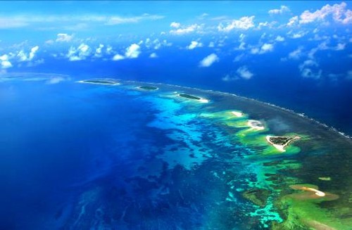 莲之韵 海之魂——访将军摄影师冷宽