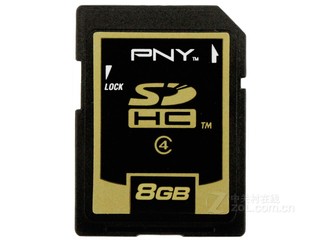 PNY SDHC Class48GB