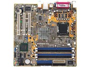 ˶ P5P800-MX