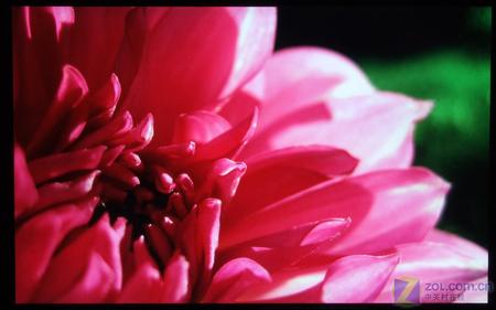 ���ɶ���22Ӣ�����Һ��VX2235wm���� 