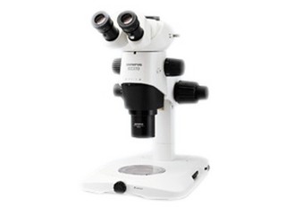 ���ְ�˹SZX10-1141