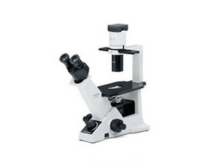 ���ְ�˹CKX31-A12PHP