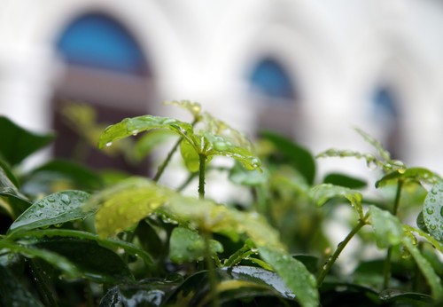 ������Ѿ�� ���ᵥ�����A57�μǵڶ��� 