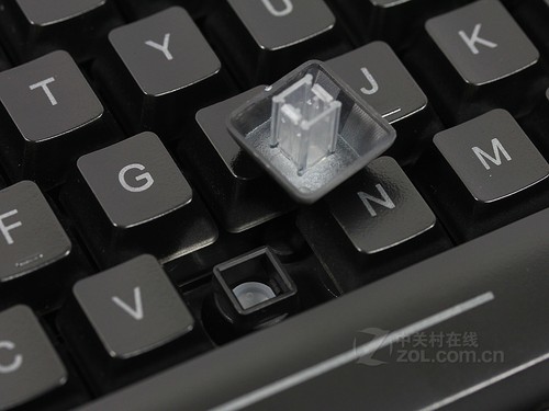 �ڰ��е�һյ�� ������𱳹�����Ƽ� 