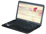 ֥M800-T21B1()